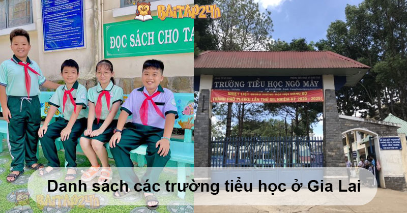 Danh sách các trường tiểu học ở Gia Lai