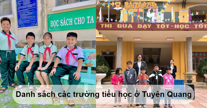 Danh sách các trường tiểu học ở Tuyên Quang