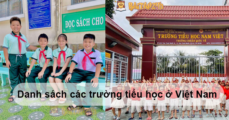 Danh sách các trường tiểu học ở Việt Nam