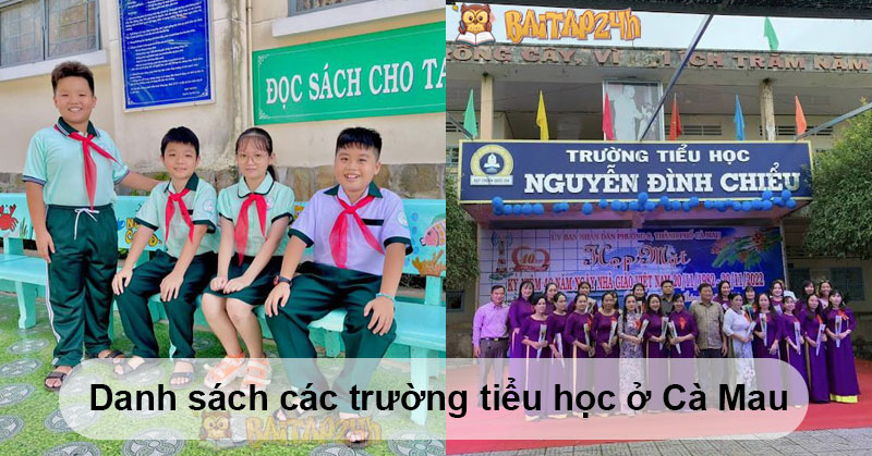 Danh sách các trường tiểu học ở Cà Mau