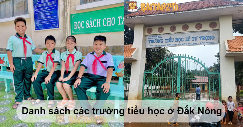 Danh sách các trường tiểu học ở Đắk Nông