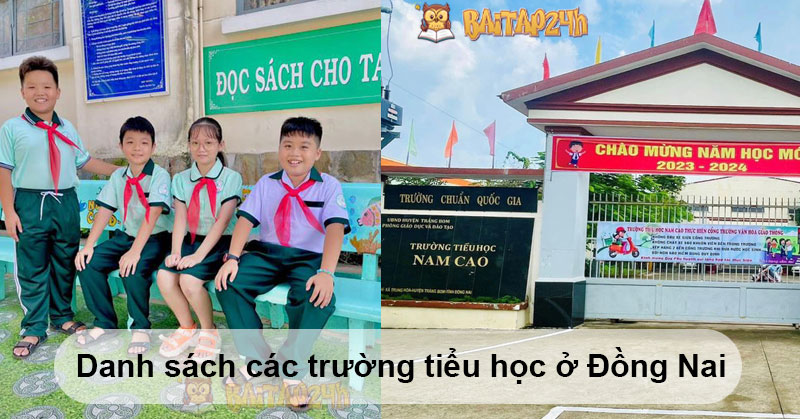 Danh sách các trường tiểu học ở Đồng Nai