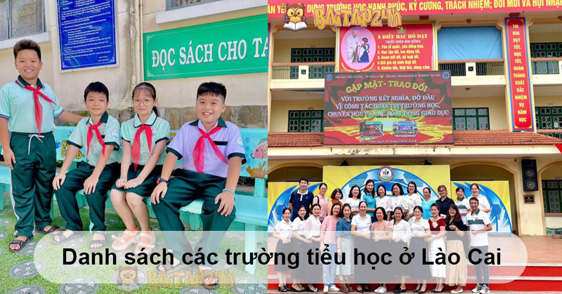 Danh sách các trường tiểu học ở Lào Cai