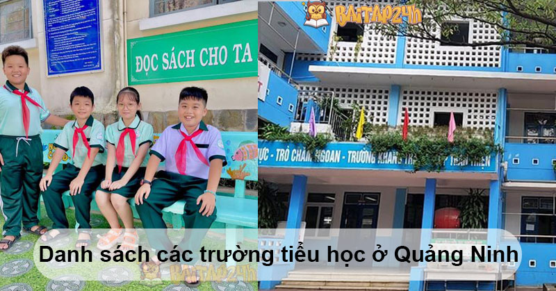 Danh sách các trường tiểu học ở Quảng Ninh