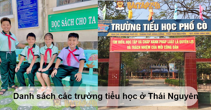 Danh sách các trường tiểu học ở Thái Nguyên