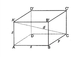 10 Đề thi Học kì 2 Toán 11 Kết nối tri thức (có đáp án + ma trận)